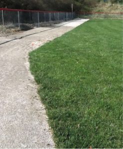 Brandon Phillips Field Before Parjana