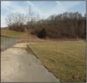 Brandon Phillips Field Before Parjana